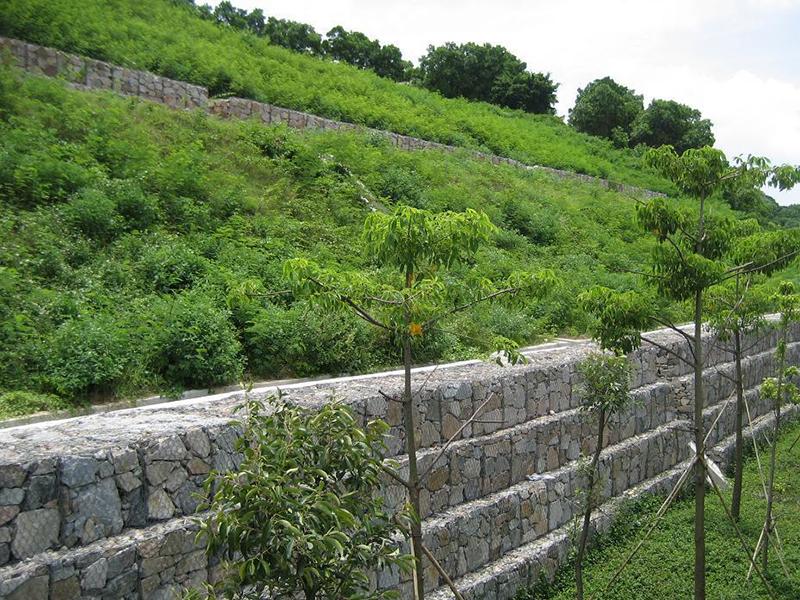 ���B(t��i)���e�W(w��ng)